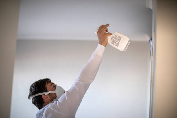 Best Certified Mold Removal  in Bothell West, WA