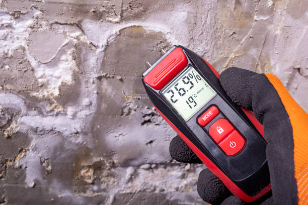 Best Black Mold Removal  in Bothell West, WA