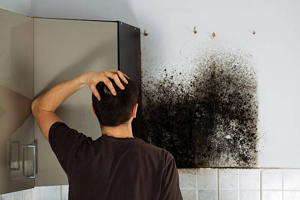 Best Office Mold Removal Services  in Bothell West, WA